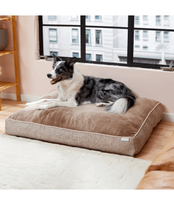 Frisco Pillow Cat & Dog Bed with Removable Cover